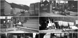 Сколівський тартак на унікальних світлинах 100-літньої давнини