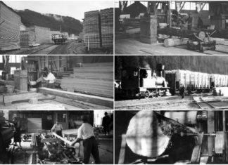 Сколівський тартак на унікальних світлинах 100-літньої давнини