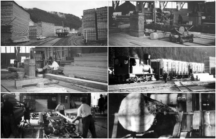 Сколівський тартак на унікальних світлинах 100-літньої давнини