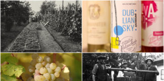 Винна історія з гарним минулим і ... невідомим майбутнім