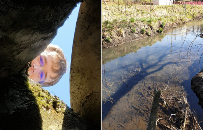 Якою могла би бути річка Зубра якби в неї не …