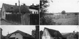 Кривчиці і Личаків 1960 року року в об’єктиві Юліана Дороша