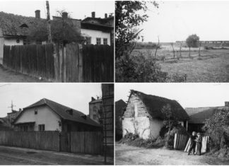 Кривчиці і Личаків 1960 року року в об’єктиві Юліана Дороша