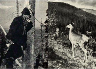 Володимир Пухальський, або фотограф галицького мисливства