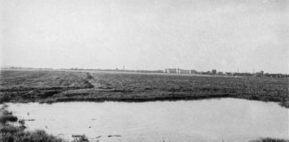 Львів, вулиця Стрийська, березень 1958 року. Світлина Юліана Дороша