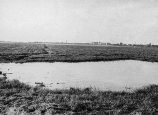 Львів, вулиця Стрийська, березень 1958 року. Світлина Юліана Дороша