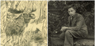 «Моя дорога до мистецтва» – Карло Звіринський. Продовження