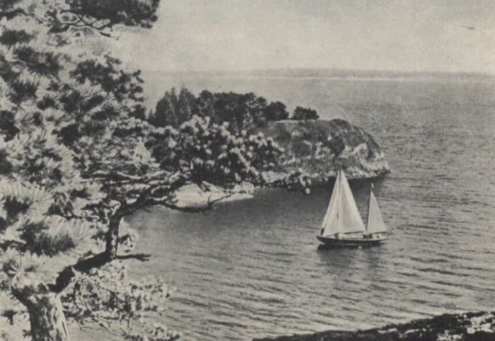 Яхта «Кшиштоф Арцишевський»