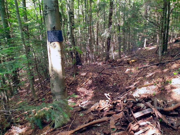 Місце падіння літака