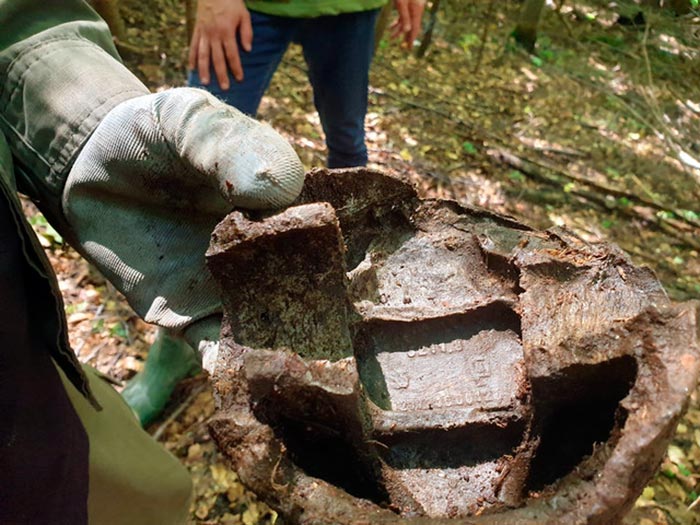 Поршень двигуна