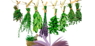 Знахарство і народна медицина на Волині Знахарство і народна медицина на Волині