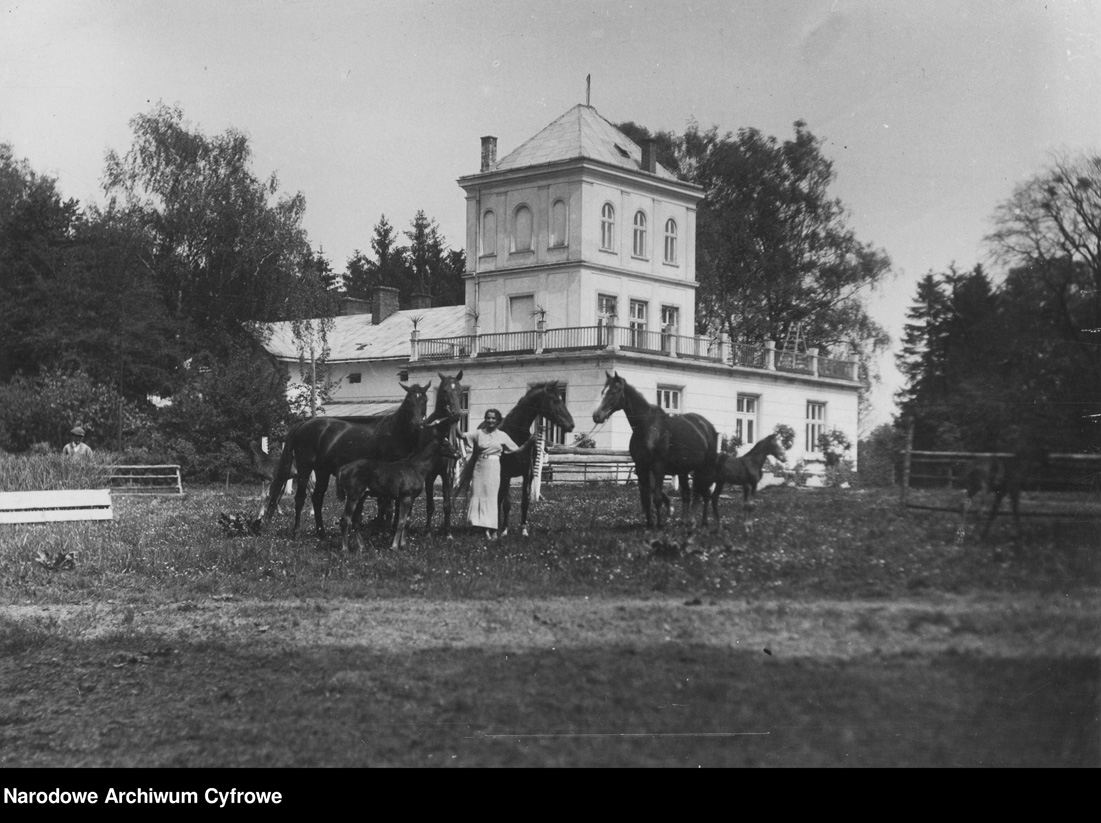 Маєток в Яричеві