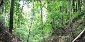 Травертинові джерела виявили поблизу Львова