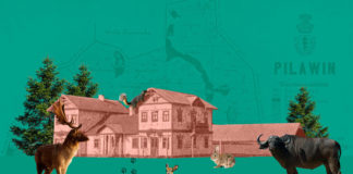 Мисливський парк Потоцького в Пилявині на Волині