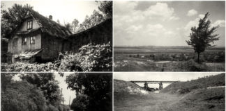 Знесіння і Кривчиці 1960 року в об'єктиві Юліана Дороша