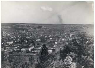 Панорама Львова, 1930-ті рр. Фото Людвіка Вележинського