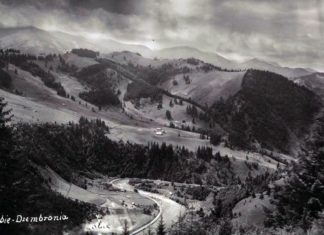 Жабʼє, вид на гору Дземброню. Фото початку ХХ ст. Джерело: https://polona.pl/item/zabie-dzembronia