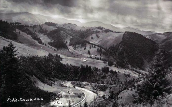 Жабʼє, вид на гору Дземброню. Фото початку ХХ ст. Джерело: https://polona.pl/item/zabie-dzembronia