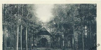 Брюховичі, капличка в лісі. Поштівка 1929 року