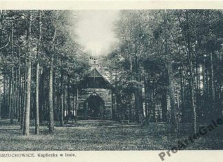 Брюховичі, капличка в лісі. Поштівка 1929 року