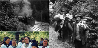 Олександр Кіцера, або світло й тіні фотографії