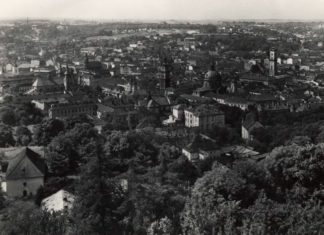 Панорама Львова, 1920-1930-ті рр.