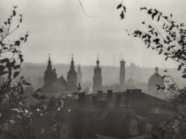 Панорама Львова 1960-их років. Світлив Юліан Дорош