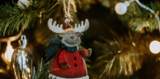 "Казка на білих лапах"