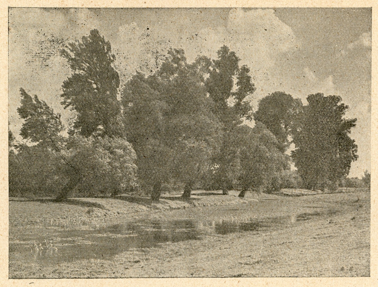 М.Лятишевський. Пейзаж. Каталог І виставки української аматорської фотографії у Львові, 1930 р. (збірка Львівського Фотомузею)