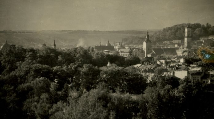 Панорама Львова, 1921 р. Фото: Ян Булгак
