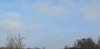 Річка Західний Буг. Світлив Андрій Порицький