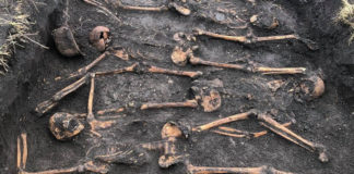 Останки вояків часів II світової війни біля села Червоне