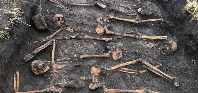 Останки вояків часів II світової війни біля села Червоне