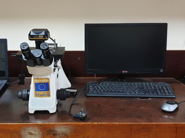 Або глянути на місце перелому, чи після травлення...