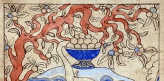 Дарування білим слоном чаші з ліками