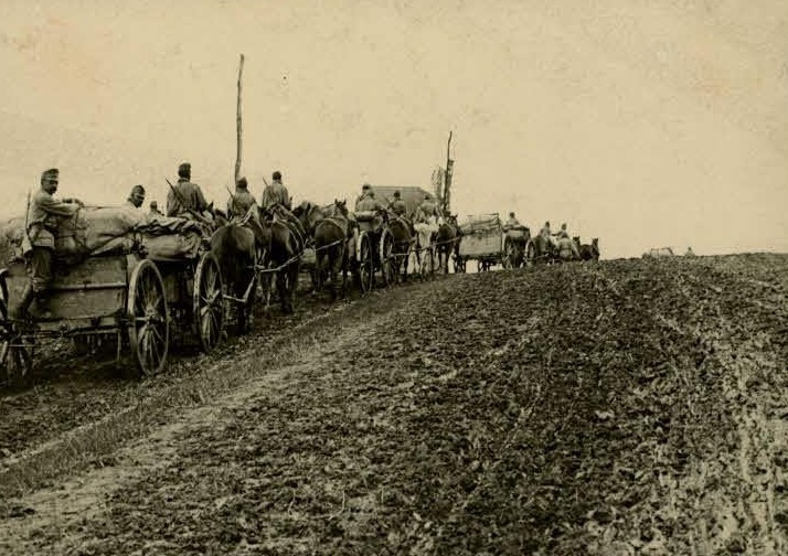 Село Варяж, Львівська обл., 1914-1918 рр.