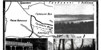 15 цікавих фактів про дільницю Голоско у Львові