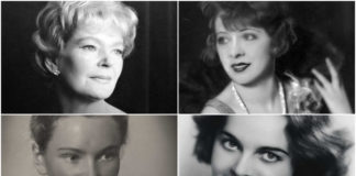 Жінки мов зірки на львівському небі