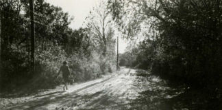 Львів, Пасіки, жовтень 1960 року. Світлина Юліана Дороша