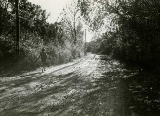 Львів, Пасіки, жовтень 1960 року. Світлина Юліана Дороша