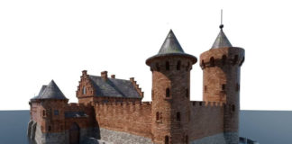 Львівський стартап Chameleon Age