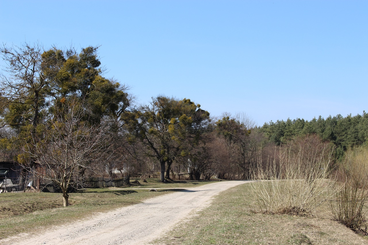 Село Козаки, квітень 2021 р.