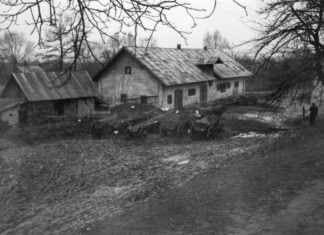 Львів, Кривчиці, листопад 1960 року. Світлина Юліана Дороша