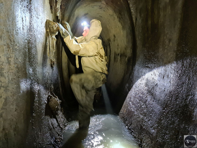 Вже внизу. Ніхто не зірвався. Хоч та драбина неабияк хиталася а скоби були гнилі