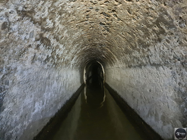 Вид у звуження