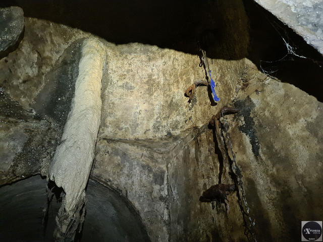 Один з сталактитів і презерватив для голубих