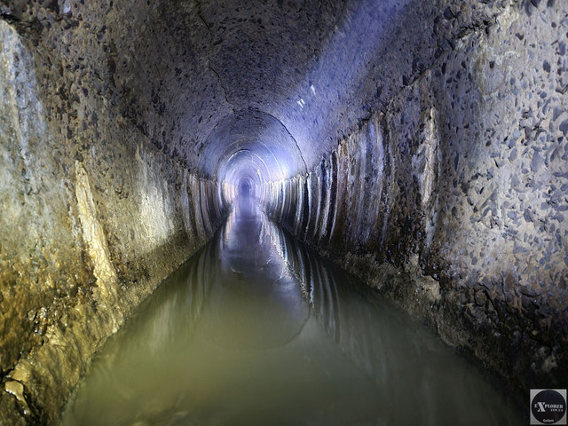 Далі хіба що рачки. Але це не чиста вода а каналізація. Тому ні :)