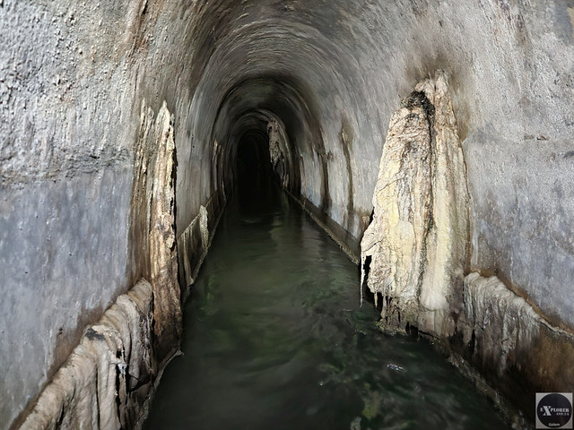 Виглядають красиво. Але їх тут не повинно бути