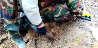 Пошукова експедиція у Дрогобицькому районі. Фото Меморіально-пошуковий центр «Доля»