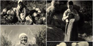 Галичина та Поділля, 1940-ві рр.